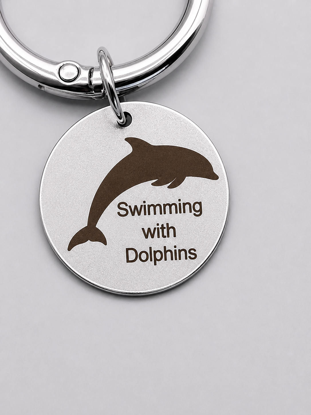 Swimming with dolphins