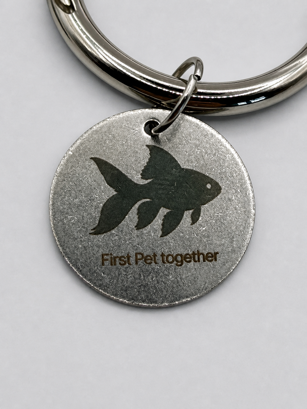 First pet together