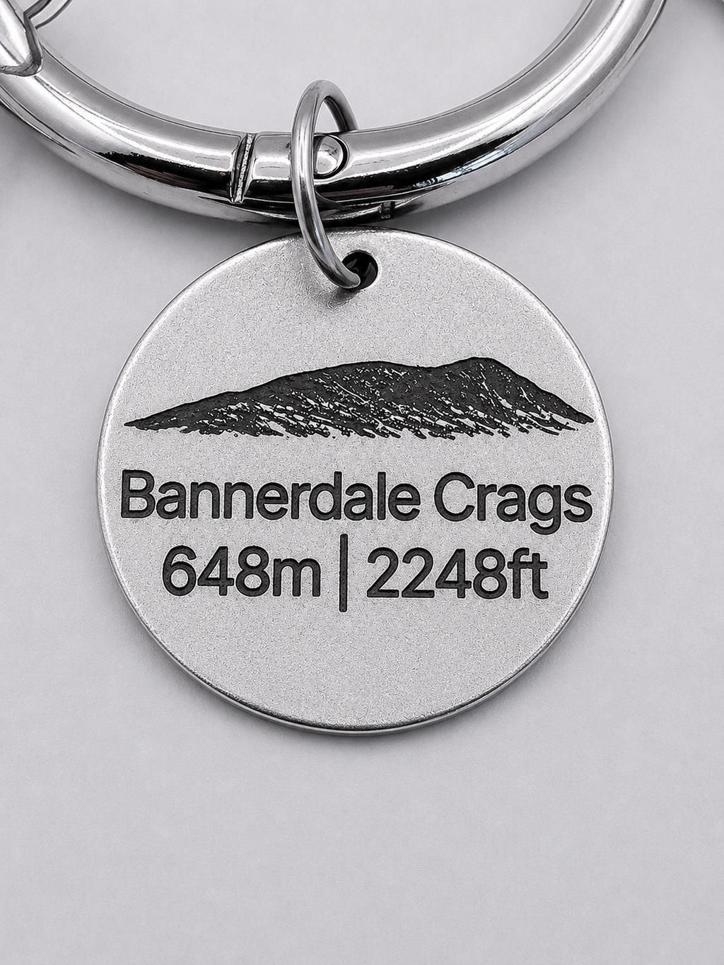 Wainwright tags